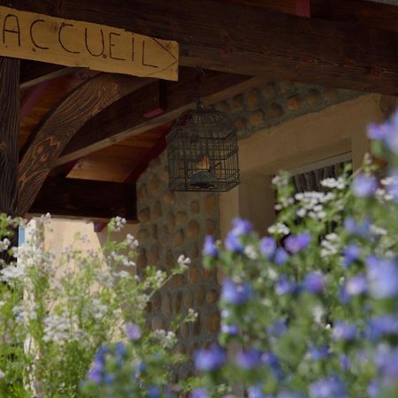 La Petite Ferme Des Vitoz Villa Assieu Dış mekan fotoğraf